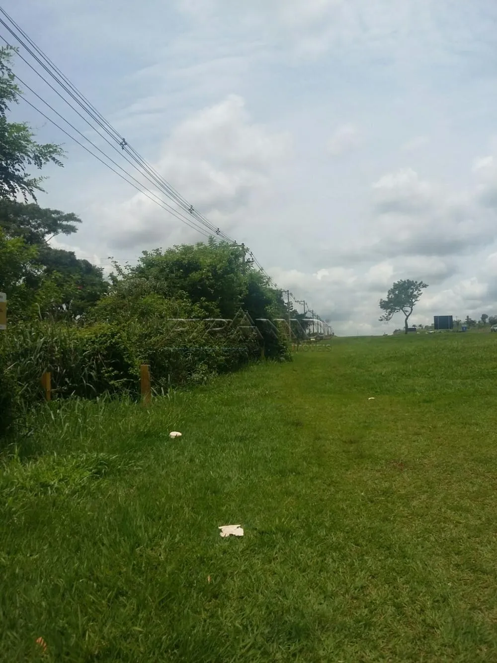 Alugar Terreno / Terreno em Ribeirão Preto R$ 132.000,00 - Foto 1