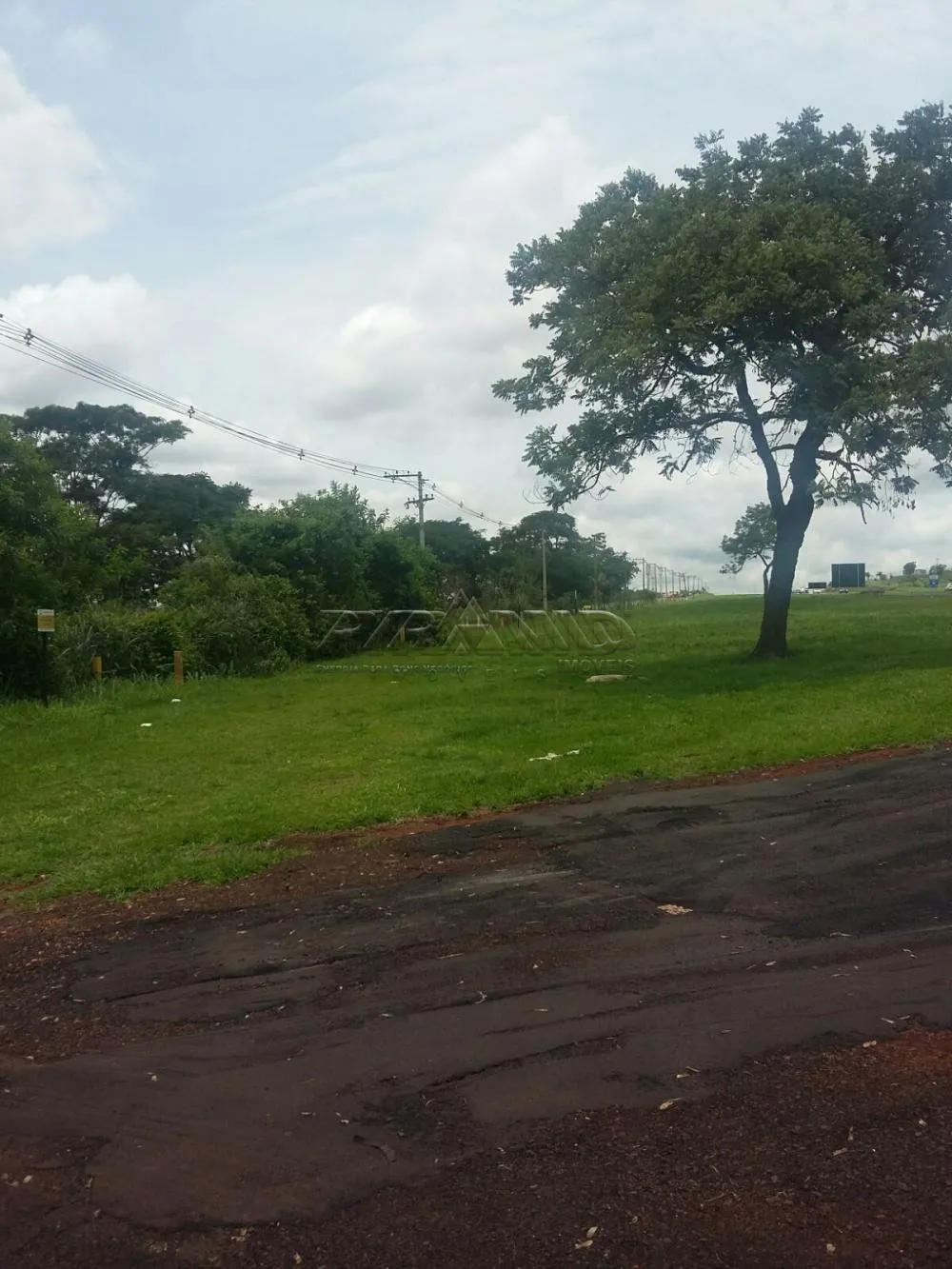Alugar Terreno / Terreno em Ribeirão Preto R$ 132.000,00 - Foto 4