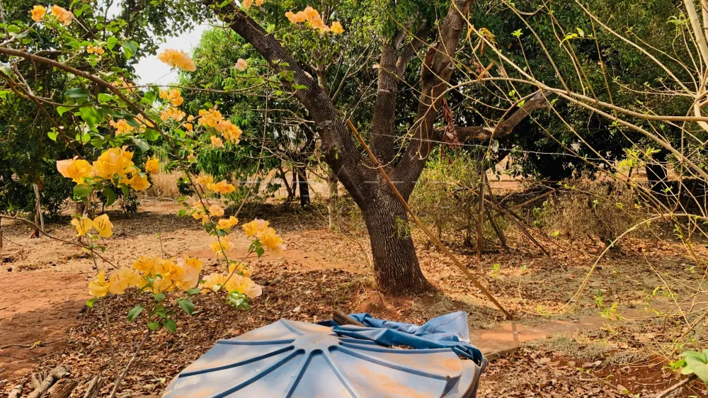 Comprar Terreno / Condom&iacute;nio em Bonfim Paulista R$ 2.250.000,00 - Foto 2