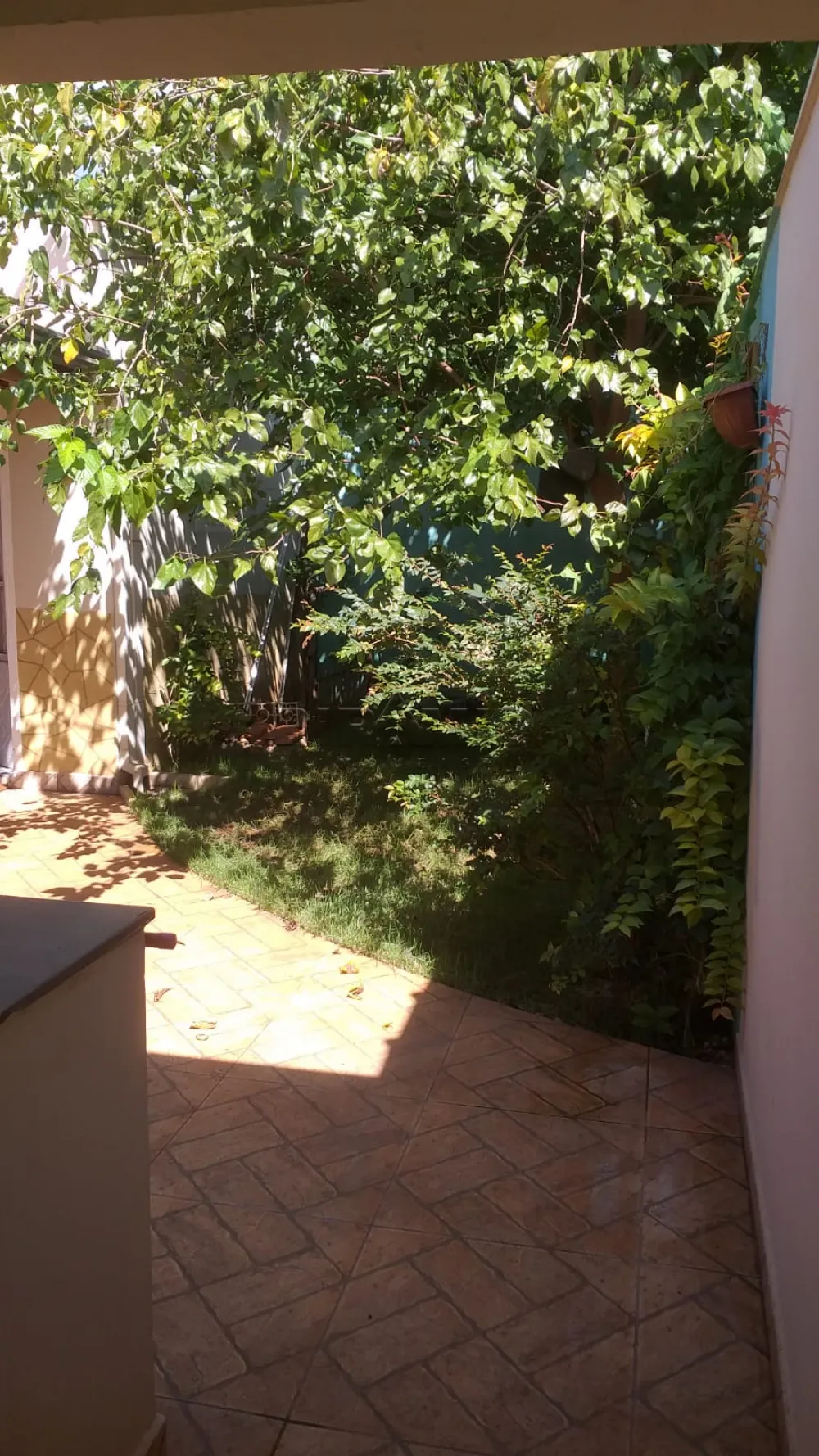 Comprar Casa / Padr&atilde;o em Ribeir&atilde;o Preto R$ 430.000,00 - Foto 18