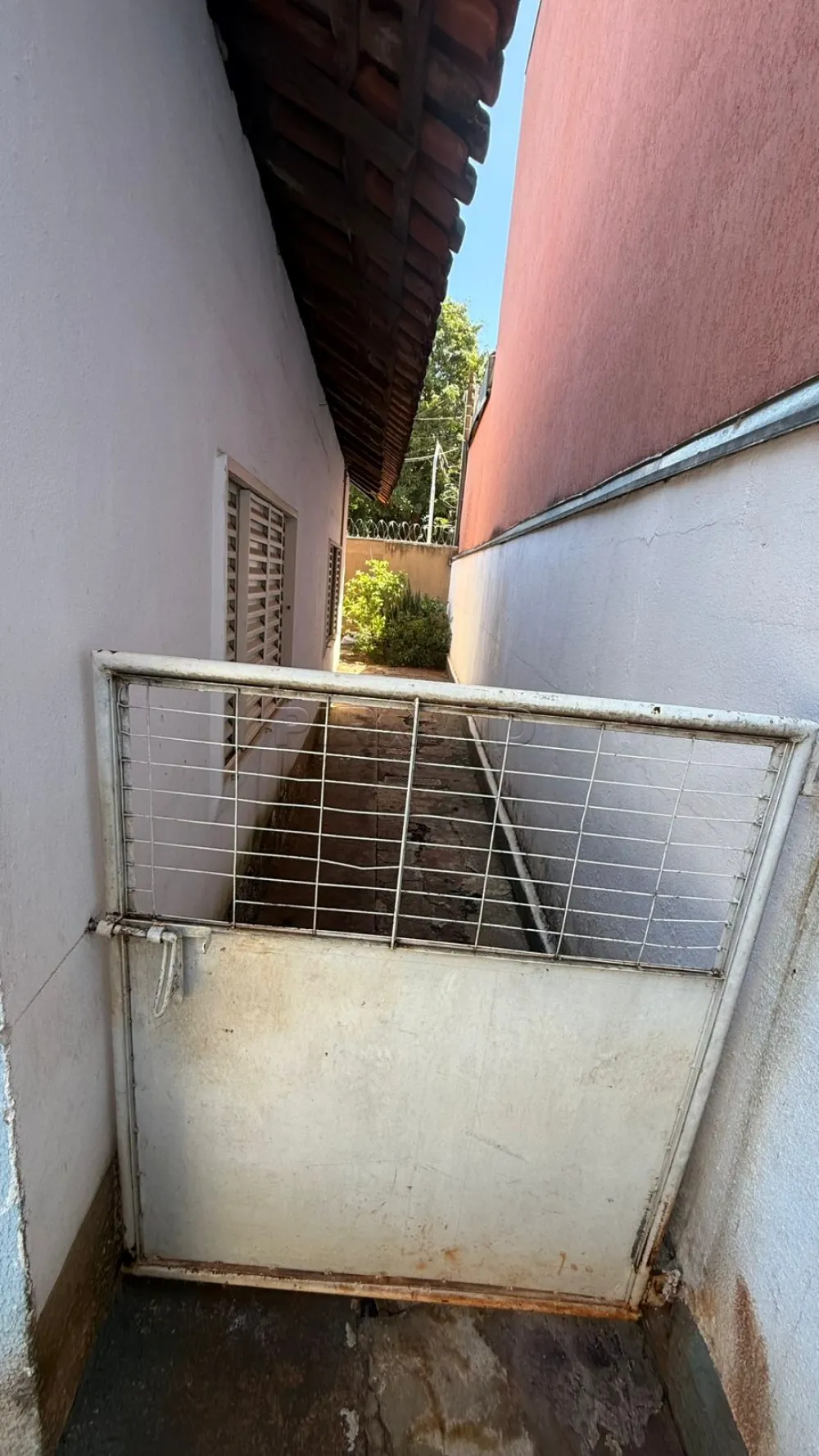 Alugar Casa / Padrão em Ribeirão Preto R$ 1.300,00 - Foto 9