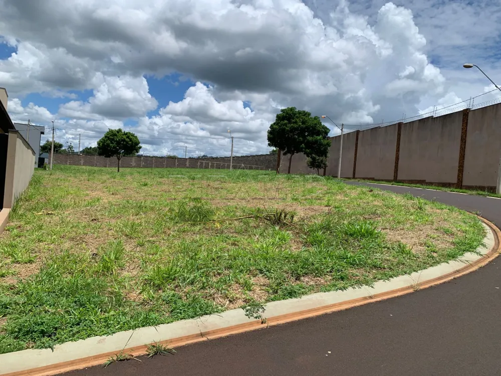 Comprar Terreno / Condom&iacute;nio em Bonfim Paulista R$ 385.000,00 - Foto 2