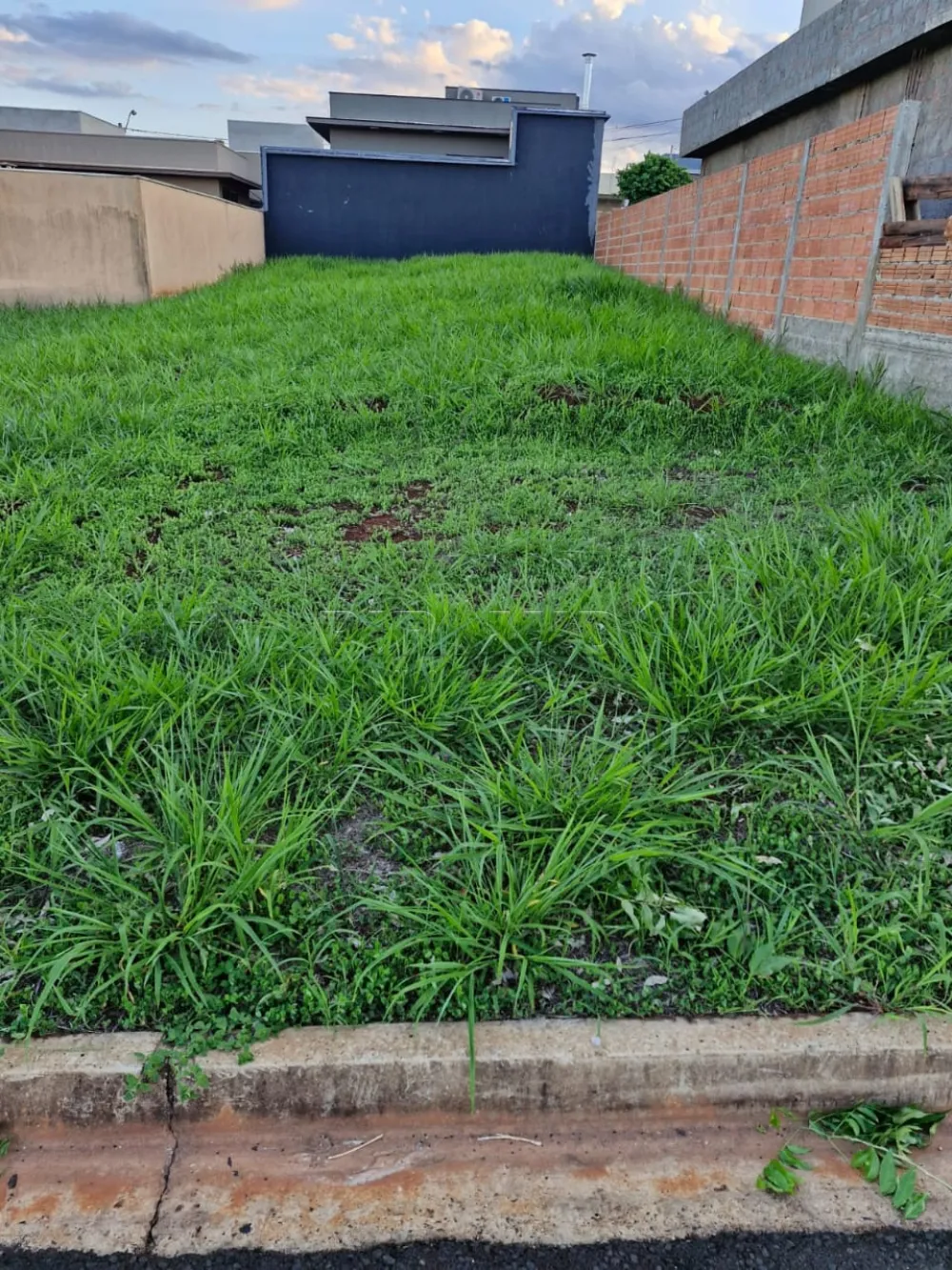 Comprar Terreno / Condom&iacute;nio em Ribeir&atilde;o Preto R$ 225.000,00 - Foto 1