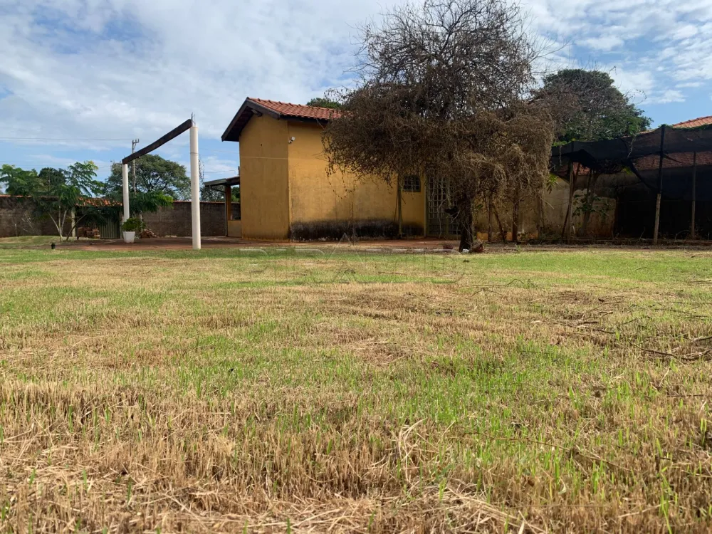 Comprar Rural / Ch&aacute;cara em Bonfim Paulista (Ribeir&atilde;o Preto) R$ 750.000,00 - Foto 7