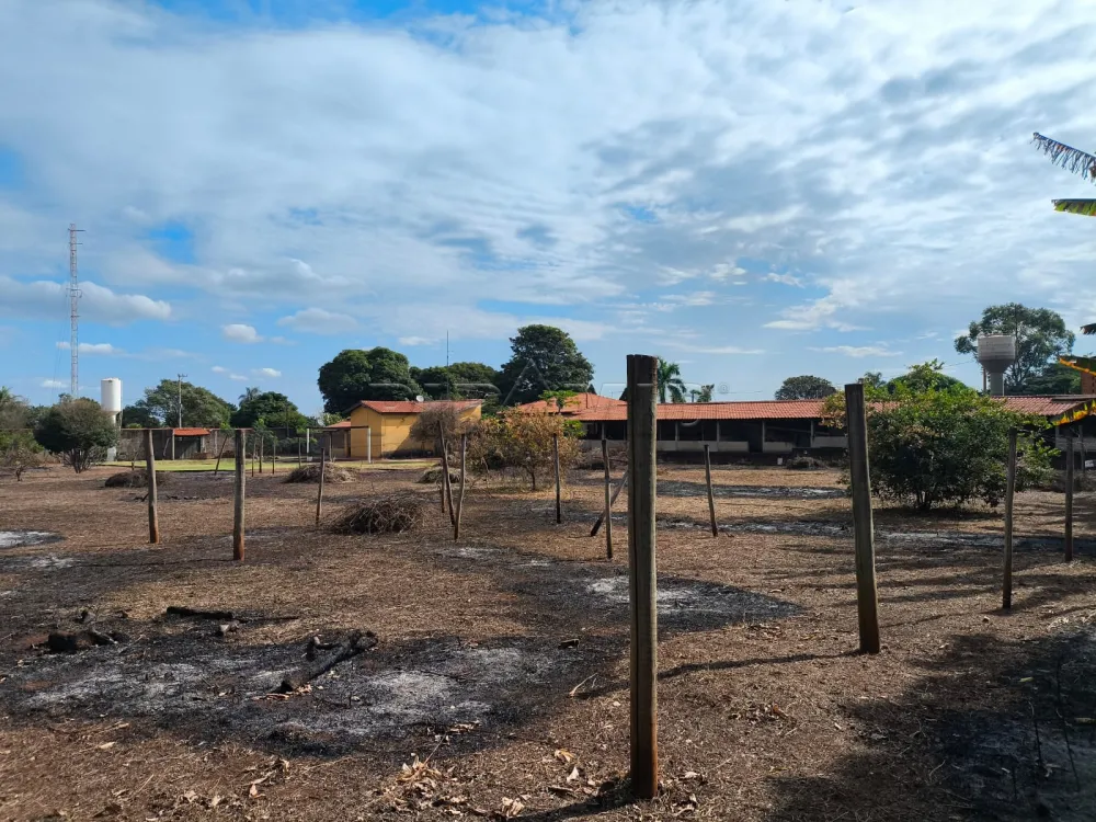 Comprar Rural / Ch&aacute;cara em Bonfim Paulista (Ribeir&atilde;o Preto) R$ 750.000,00 - Foto 12