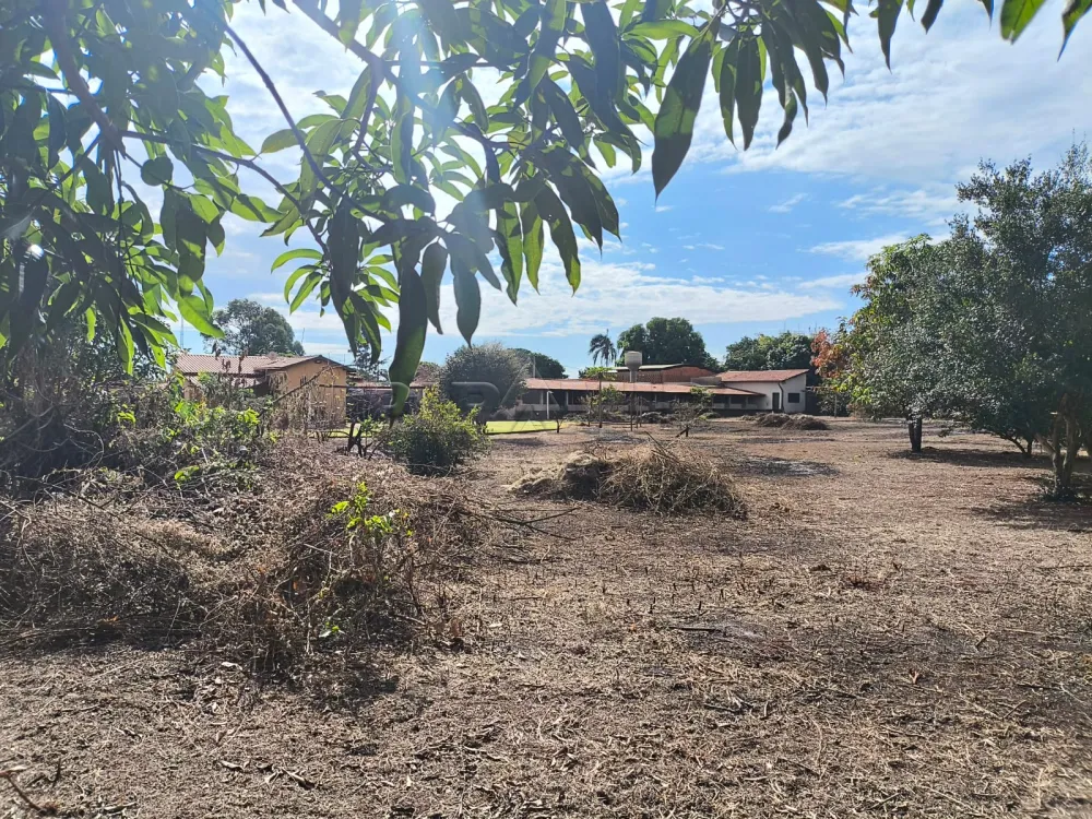 Comprar Rural / Ch&aacute;cara em Bonfim Paulista (Ribeir&atilde;o Preto) R$ 750.000,00 - Foto 17