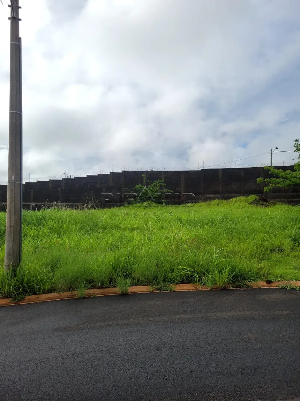 Comprar Terreno / Condom&iacute;nio em Bonfim Paulista R$ 299.000,00 - Foto 1
