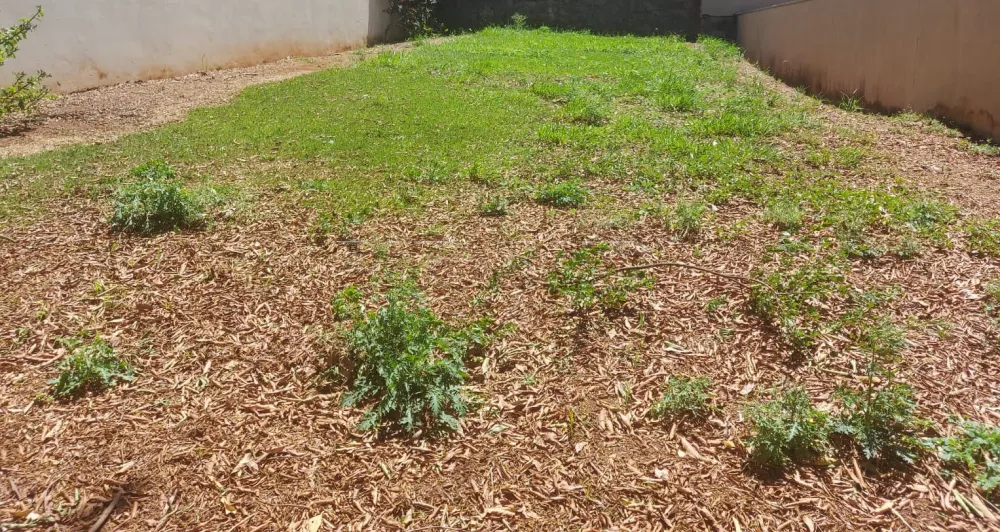 Comprar Terreno / Condomínio em Ribeirão Preto R$ 480.000,00 - Foto 1
