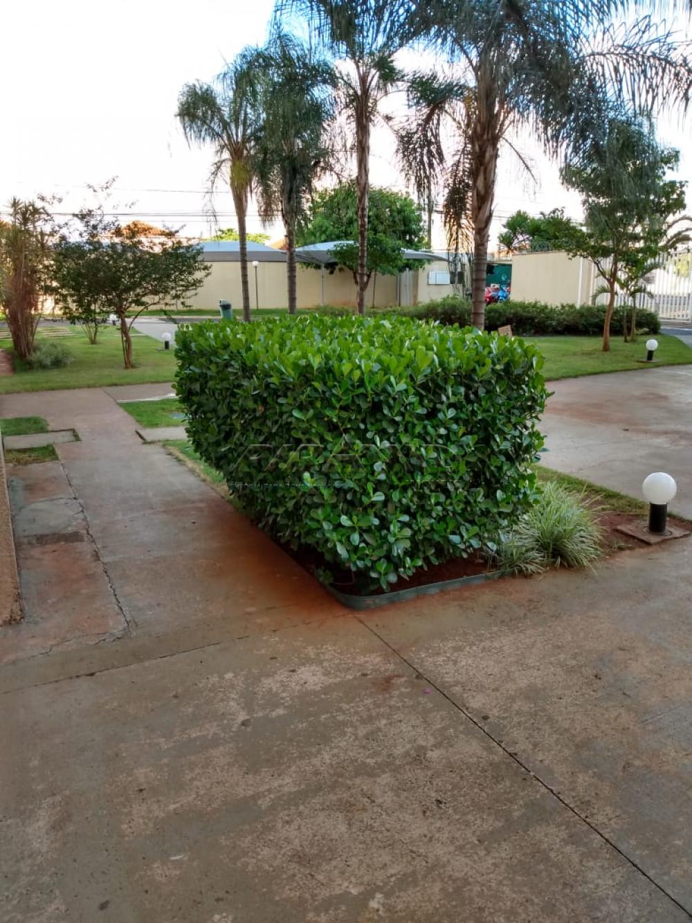 Comprar Apartamento / Padrão em Ribeirão Preto R$ 180.000,00 - Foto 14 Comprar Apartamento / Padrão em Ribeirão Preto R$ 180.000,00 - Foto 14