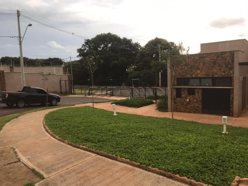 Comprar Casa / Condomínio em Bonfim Paulista apenas R$ 997.000,00 - Foto 24 Comprar Casa / Condomínio em Bonfim Paulista apenas R$ 997.000,00 - Foto 24