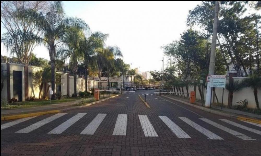 Alugar Apartamento / Padrão em Ribeirão Preto R$ 730,00 - Foto 12 Alugar Apartamento / Padrão em Ribeirão Preto R$ 730,00 - Foto 12