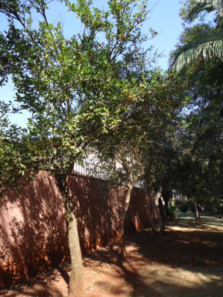 Comprar Casa / Condomínio em Ribeirão Preto apenas R$ 990.000,00 - Foto 38 Comprar Casa / Condomínio em Ribeirão Preto apenas R$ 990.000,00 - Foto 38