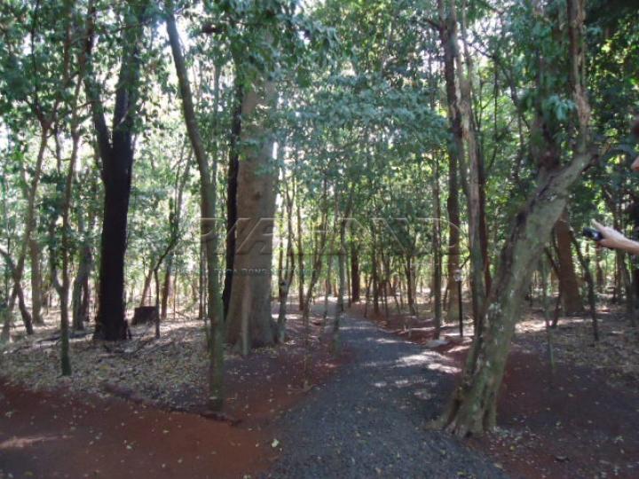 Comprar Casa / Condomínio em Ribeirão Preto apenas R$ 990.000,00 - Foto 33 Comprar Casa / Condomínio em Ribeirão Preto apenas R$ 990.000,00 - Foto 33