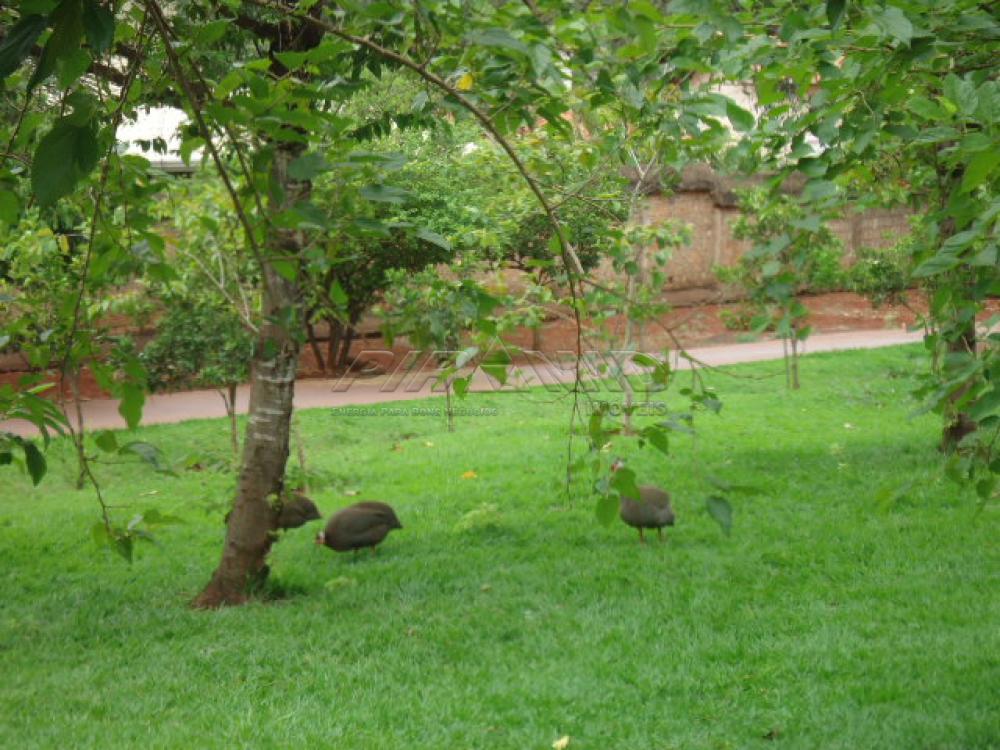 Comprar Casa / Condomínio em Ribeirão Preto apenas R$ 750.000,00 - Foto 27 Comprar Casa / Condomínio em Ribeirão Preto apenas R$ 750.000,00 - Foto 27