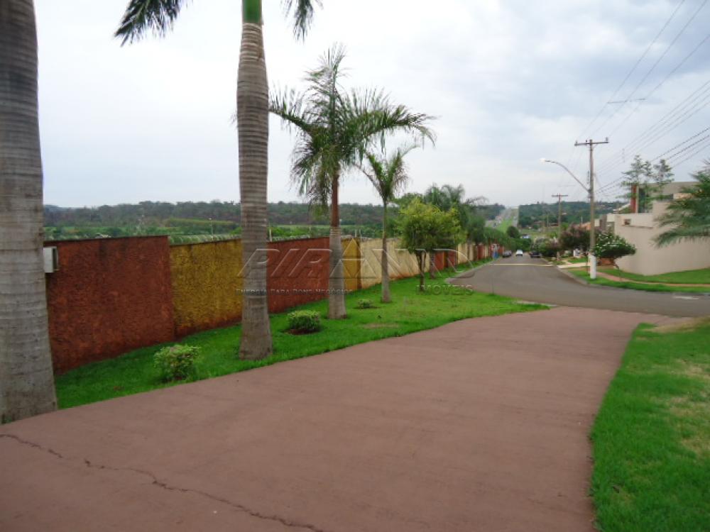Comprar Casa / Condomínio em Ribeirão Preto apenas R$ 750.000,00 - Foto 16 Comprar Casa / Condomínio em Ribeirão Preto apenas R$ 750.000,00 - Foto 16