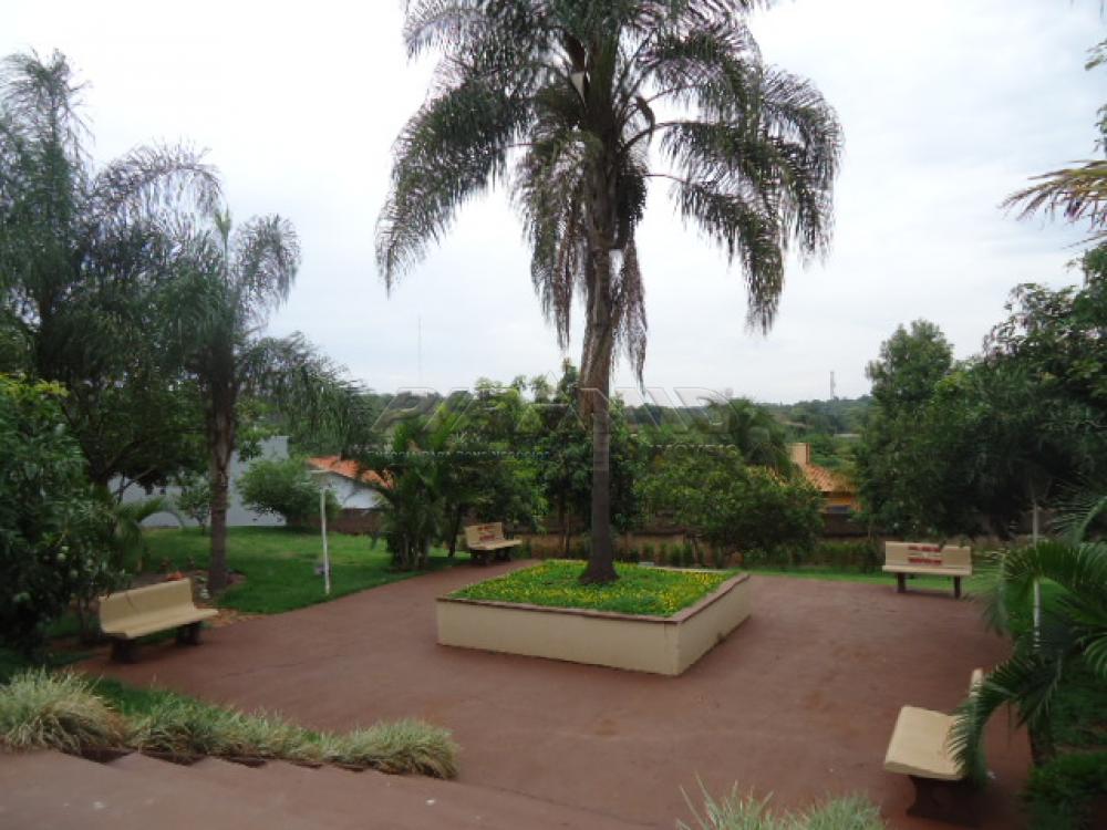 Comprar Casa / Condomínio em Ribeirão Preto apenas R$ 750.000,00 - Foto 22 Comprar Casa / Condomínio em Ribeirão Preto apenas R$ 750.000,00 - Foto 22