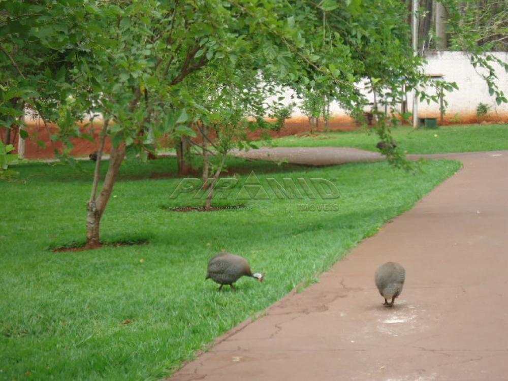 Comprar Casa / Condomínio em Ribeirão Preto apenas R$ 750.000,00 - Foto 26 Comprar Casa / Condomínio em Ribeirão Preto apenas R$ 750.000,00 - Foto 26