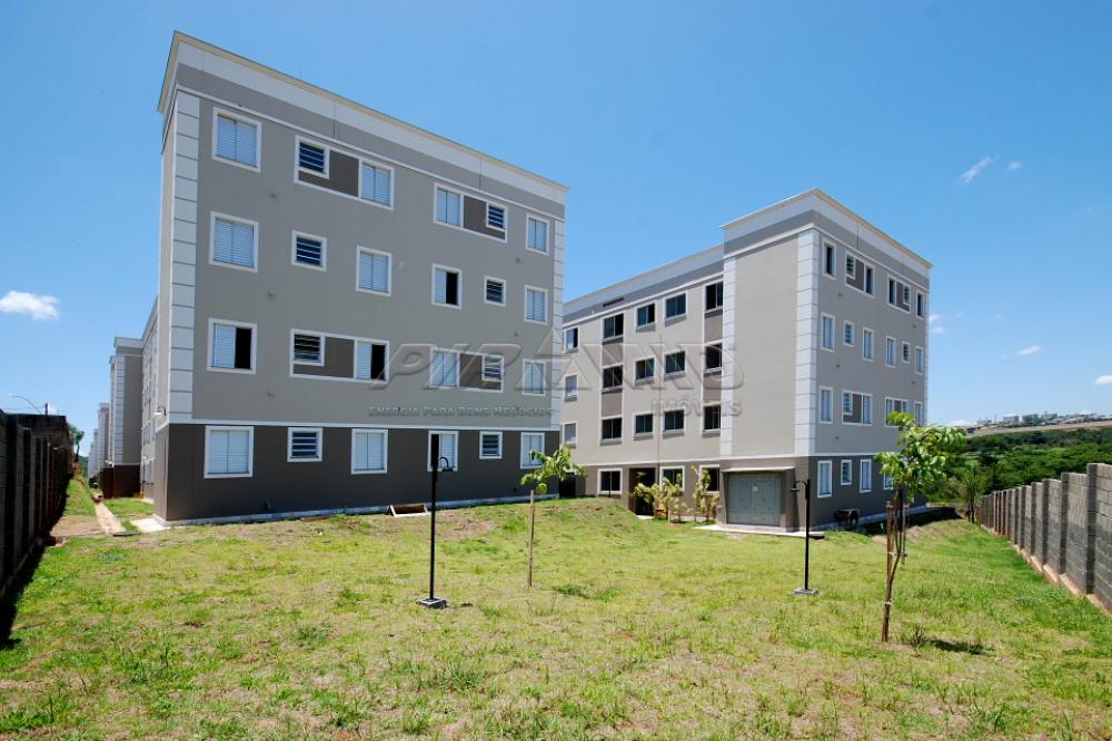 Alugar Apartamento / Padrão em Ribeirão Preto apenas R$ 900,00 - Foto 12 Alugar Apartamento / Padrão em Ribeirão Preto apenas R$ 900,00 - Foto 12
