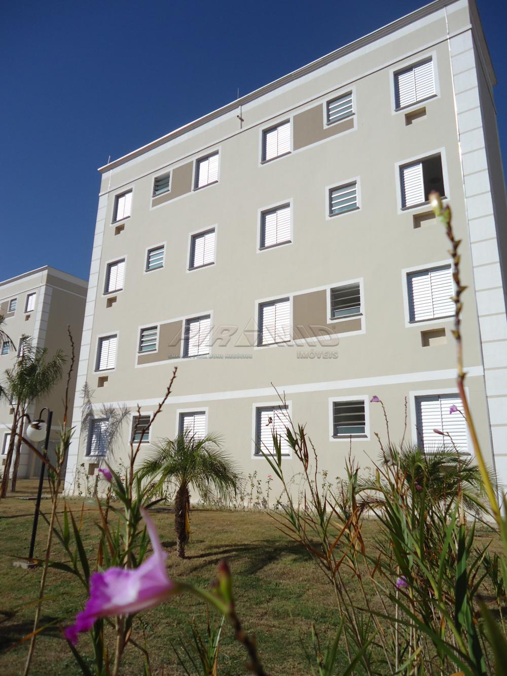 Alugar Apartamento / Padrão em Ribeirão Preto apenas R$ 800,00 - Foto 14 Alugar Apartamento / Padrão em Ribeirão Preto apenas R$ 800,00 - Foto 14