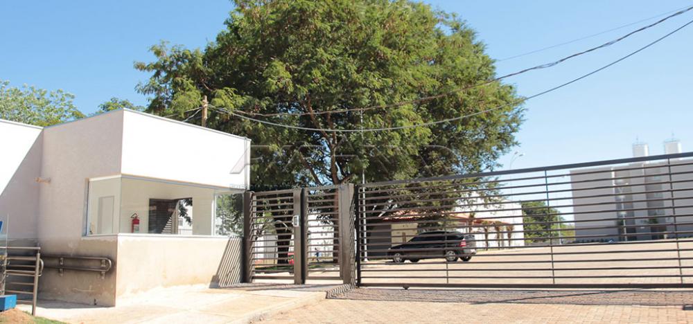 Alugar Apartamento / Padrão em Ribeirão Preto R$ 700,00 - Foto 10 Alugar Apartamento / Padrão em Ribeirão Preto R$ 700,00 - Foto 10
