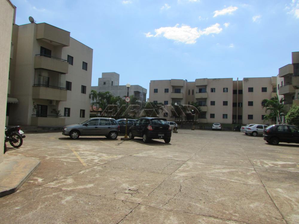 Alugar Apartamento / Padrão em Ribeirão Preto R$ 675,00 - Foto 18 Alugar Apartamento / Padrão em Ribeirão Preto R$ 675,00 - Foto 18