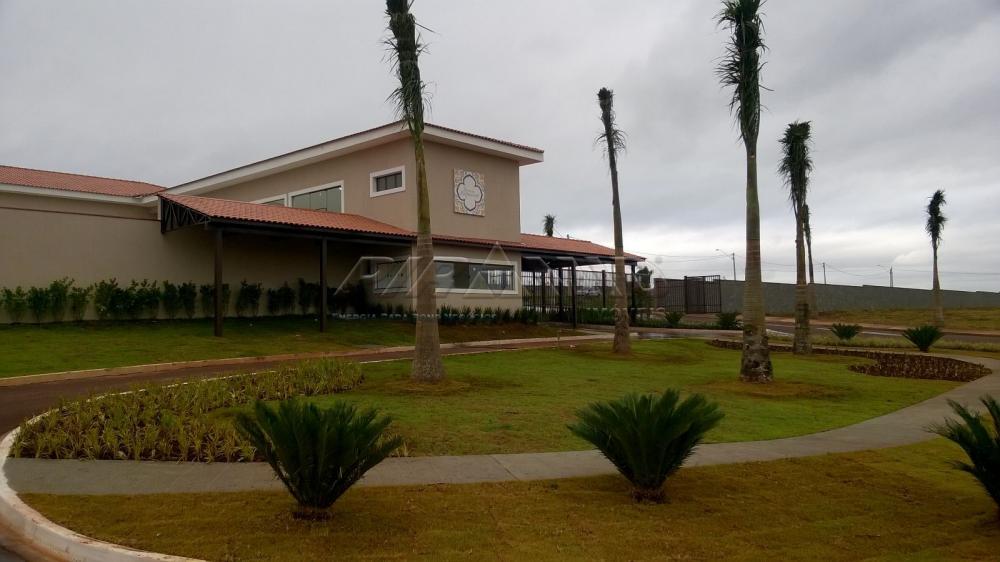 Comprar Casa / Condomínio em Ribeirão Preto apenas R$ 750.000,00 - Foto 15 Comprar Casa / Condomínio em Ribeirão Preto apenas R$ 750.000,00 - Foto 15