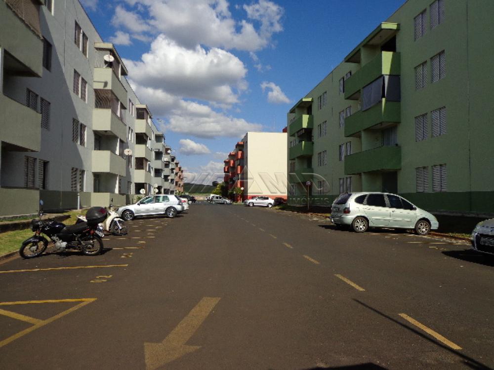 Alugar Apartamento / Padrão em Ribeirão Preto apenas R$ 750,00 - Foto 13 Alugar Apartamento / Padrão em Ribeirão Preto apenas R$ 750,00 - Foto 13