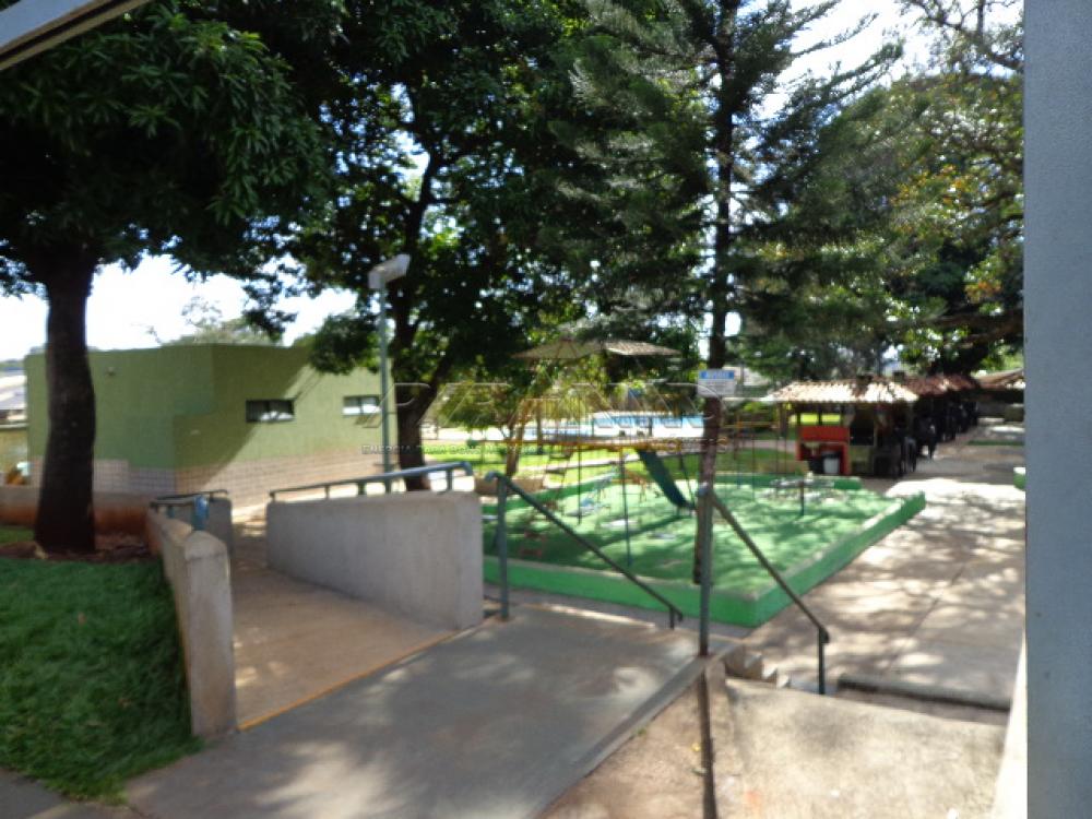 Alugar Apartamento / Padrão em Ribeirão Preto apenas R$ 750,00 - Foto 14 Alugar Apartamento / Padrão em Ribeirão Preto apenas R$ 750,00 - Foto 14