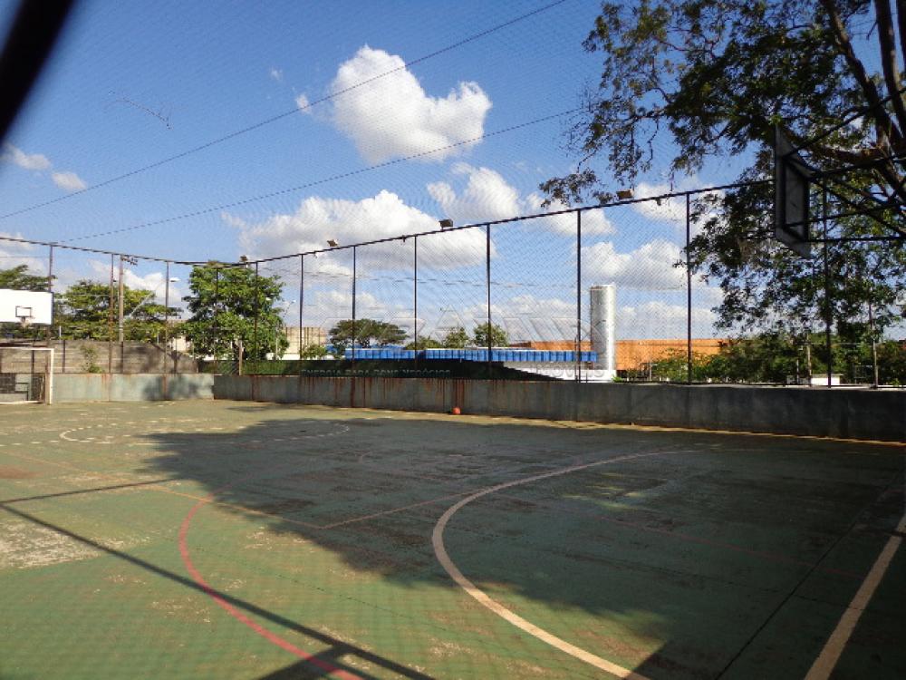 Alugar Apartamento / Padrão em Ribeirão Preto apenas R$ 750,00 - Foto 15 Alugar Apartamento / Padrão em Ribeirão Preto apenas R$ 750,00 - Foto 15