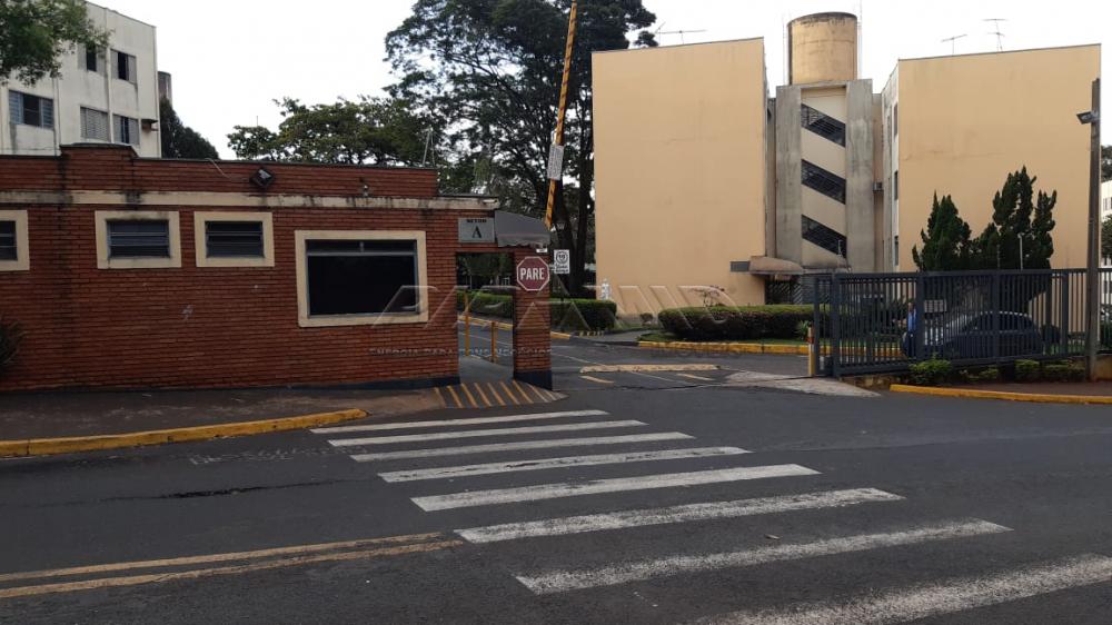 Alugar Apartamento / Padrão em Ribeirão Preto R$ 700,00 - Foto 11 Alugar Apartamento / Padrão em Ribeirão Preto R$ 700,00 - Foto 11