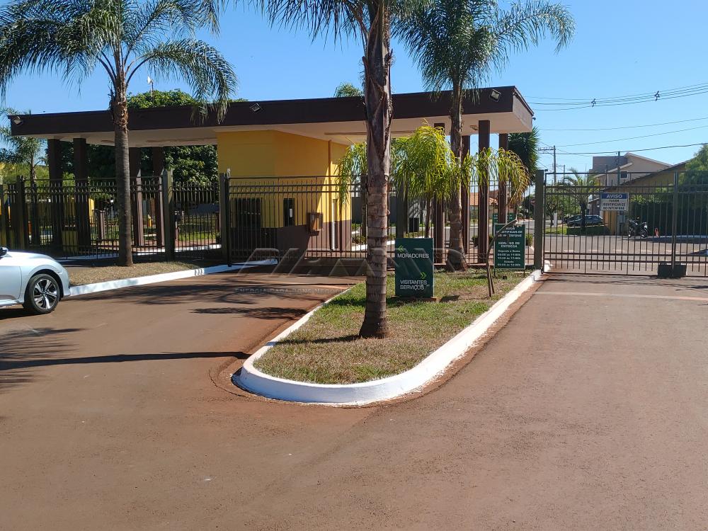 Comprar Casa / Condomínio em Cravinhos apenas R$ 2.500.000,00 - Foto 18 Comprar Casa / Condomínio em Cravinhos apenas R$ 2.500.000,00 - Foto 18