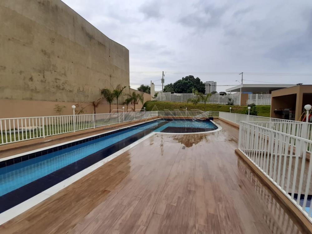 Alugar Apartamento / Padrão em Ribeirão Preto apenas R$ 800,00 - Foto 16 Alugar Apartamento / Padrão em Ribeirão Preto apenas R$ 800,00 - Foto 16