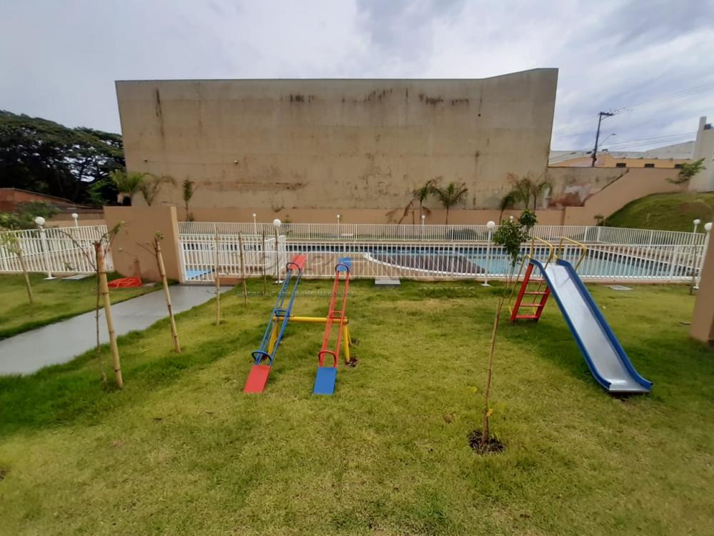 Alugar Apartamento / Padrão em Ribeirão Preto apenas R$ 800,00 - Foto 17 Alugar Apartamento / Padrão em Ribeirão Preto apenas R$ 800,00 - Foto 17