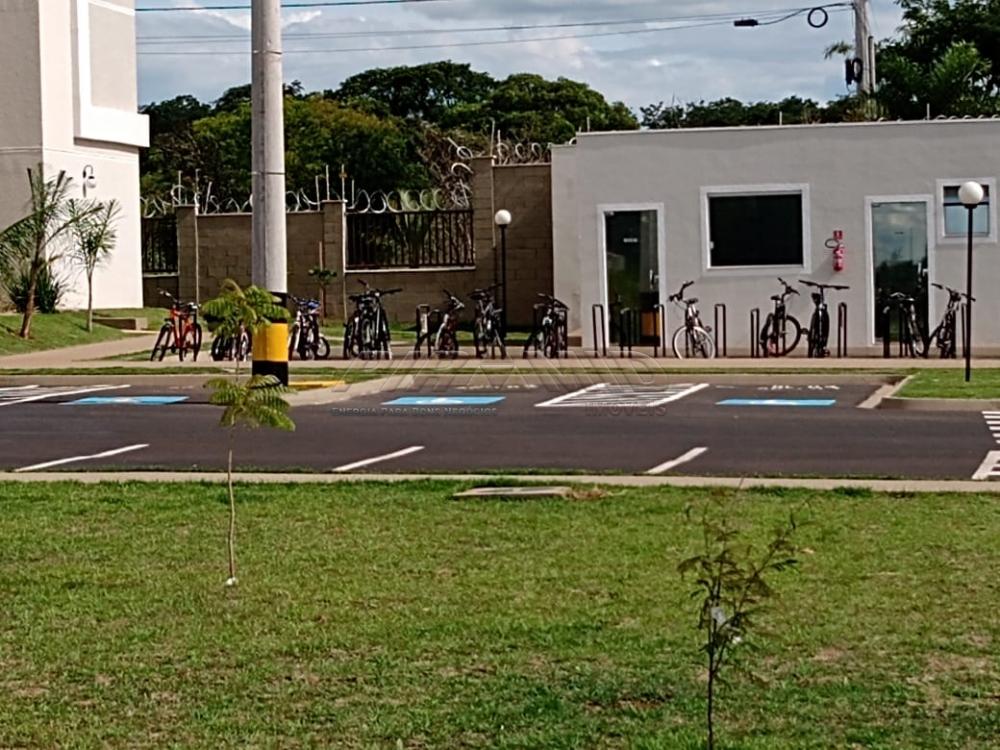 Alugar Apartamento / Padrão em Ribeirão Preto apenas R$ 600,00 - Foto 11 Alugar Apartamento / Padrão em Ribeirão Preto apenas R$ 600,00 - Foto 11