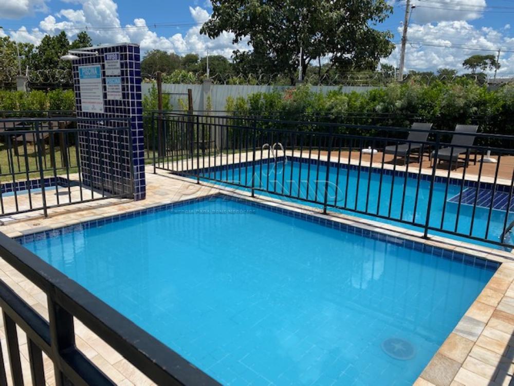 Alugar Apartamento / Padrão em Ribeirão Preto R$ 600,00 - Foto 18 Alugar Apartamento / Padrão em Ribeirão Preto R$ 600,00 - Foto 18