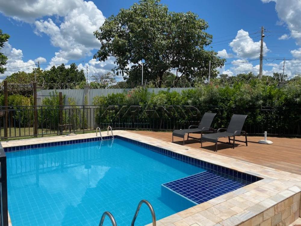 Alugar Apartamento / Padrão em Ribeirão Preto R$ 600,00 - Foto 17 Alugar Apartamento / Padrão em Ribeirão Preto R$ 600,00 - Foto 17