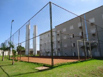 Alugar Apartamento / Padrão em Ribeirão Preto R$ 500,00 - Foto 21 Alugar Apartamento / Padrão em Ribeirão Preto R$ 500,00 - Foto 21