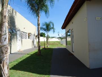 Alugar Apartamento / Padrão em Ribeirão Preto R$ 500,00 - Foto 23 Alugar Apartamento / Padrão em Ribeirão Preto R$ 500,00 - Foto 23
