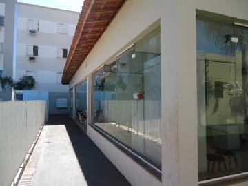 Alugar Apartamento / Padrão em Ribeirão Preto R$ 500,00 - Foto 22 Alugar Apartamento / Padrão em Ribeirão Preto R$ 500,00 - Foto 22
