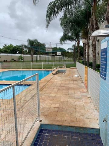Alugar Apartamento / Padrão em Ribeirão Preto R$ 500,00 - Foto 18 Alugar Apartamento / Padrão em Ribeirão Preto R$ 500,00 - Foto 18