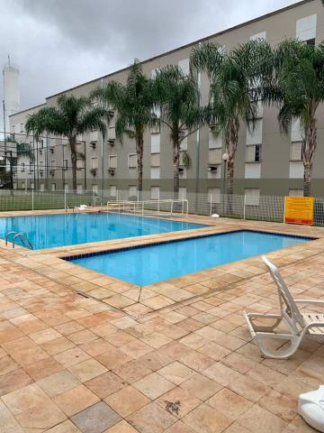 Alugar Apartamento / Padrão em Ribeirão Preto R$ 500,00 - Foto 19 Alugar Apartamento / Padrão em Ribeirão Preto R$ 500,00 - Foto 19