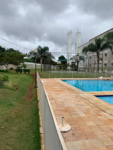 Alugar Apartamento / Padrão em Ribeirão Preto R$ 500,00 - Foto 20 Alugar Apartamento / Padrão em Ribeirão Preto R$ 500,00 - Foto 20