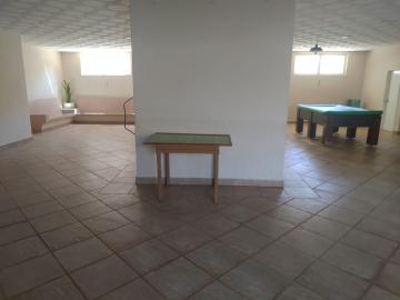Alugar Apartamento / Padrão em Ribeirão Preto R$ 900,00 - Foto 31 Alugar Apartamento / Padrão em Ribeirão Preto R$ 900,00 - Foto 31