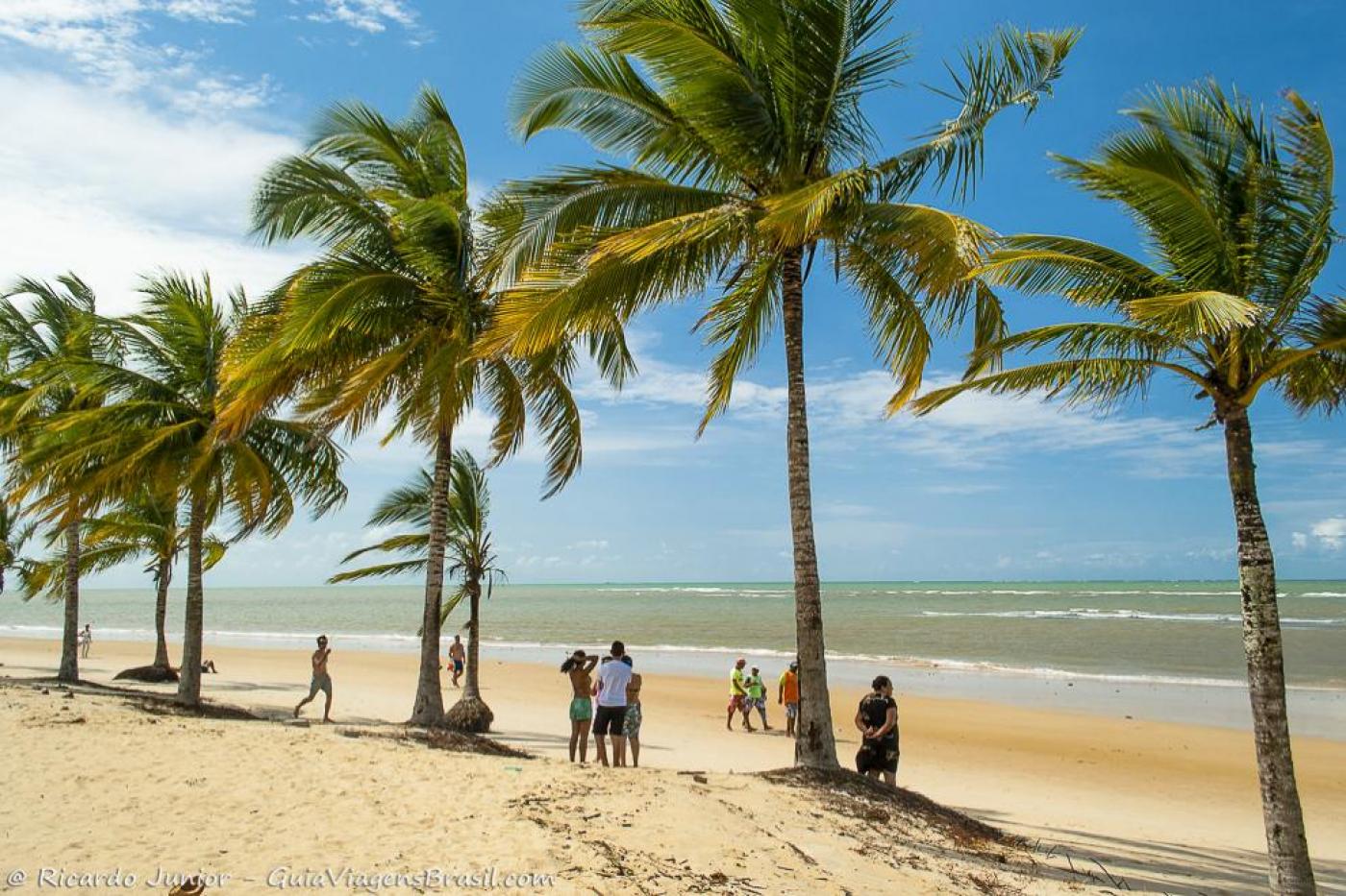 Im�veis Valorizam 5,6% em 12 Meses; Salvador e Jo�o Pessoa Lideram com Dois D�gitos