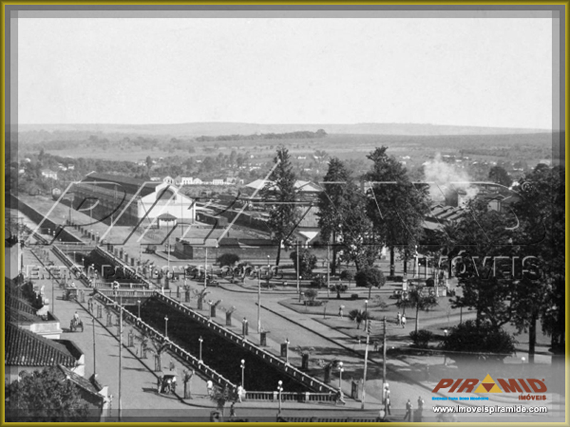 As Palmeiras Imperiais plantadas recentemente.  Ao fundo estao ferroviria (Cia Mogiana), e para frente a hoje Praa Schimidth