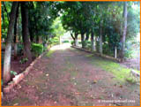 imagem 4 - Rural - Chácara imagem 4 - Rural - Chácara