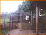imagem 1 - Rural - Chácara imagem 1 - Rural - Chácara