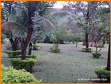 imagem 2 - Rural - Chácara imagem 2 - Rural - Chácara