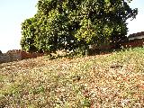 imagem 1 - Terreno - Terreno imagem 1 - Terreno - Terreno