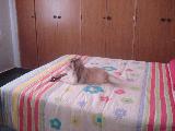 imagem 5 - Apartamento - Padrão imagem 5 - Apartamento - Padrão